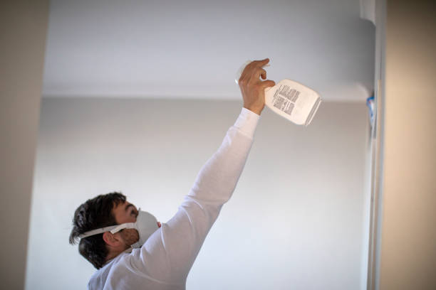 Best Post-Flood Mold Remediation in Munster, IN